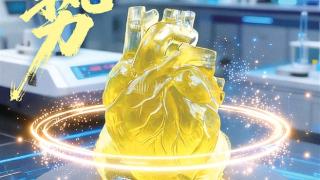 杭州有个“绘生工厂”器官也能3D打印了