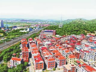 沃野上书写强村富民答卷——福建泉州推行村党支部领办合作社