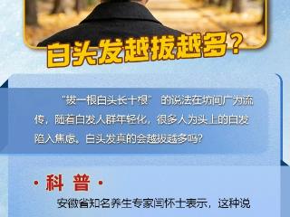 光明顶辟谣|白头发越拔越多？专家：无稽之谈