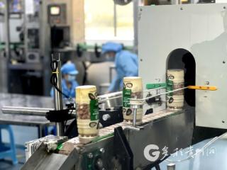 珠遵协作结硕果，习水生态好果“甜”出大山