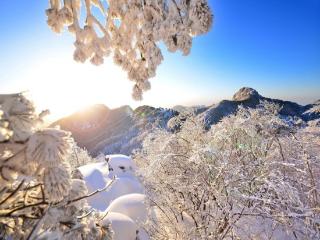 迎新春 新玩法｜沂蒙山云蒙景区：追寻冰雪浪漫 共度欢乐新年