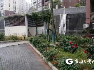 汇川：水泥地“变身”小花园