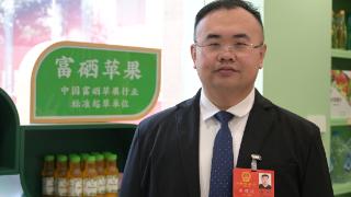 山东省人大代表张平：建议将农产品深加工纳入地理标志商标保护范畴