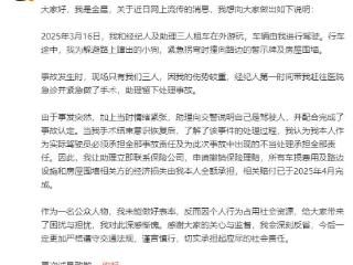 金晨回应驾车事故并致歉