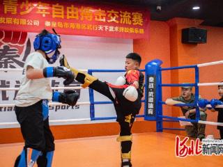 秦皇岛市举办青少年自由搏击交流赛