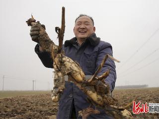新春走基层｜贡藕出池年味来