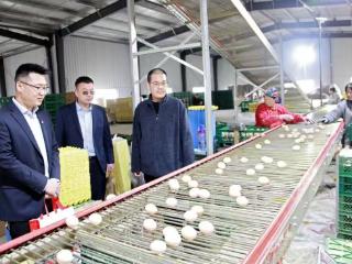 蒙阴农商银行存贷款规模突破300亿元