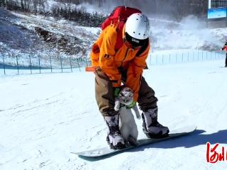 纵览原创丨崇礼滑雪教练的猫也会滑雪，且在“萌宠滑雪学校”当助教，带出了20多个“学员”