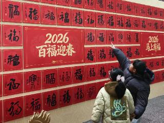 墨香漫金陵 百福迎新春 南图马年打卡点成文化新地标