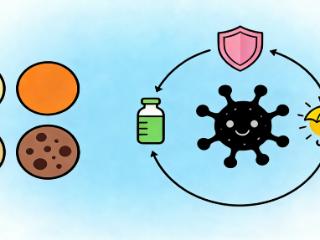 科学淡斑三部曲：找对根源、修复屏障、控制炎症