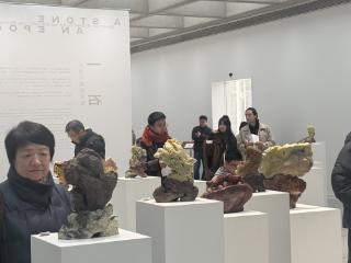 温州永嘉：“一石一时”青田石雕收藏展启幕！百余件珍品演绎非遗匠心与时光之美