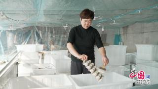 养殖技术促进乡村振兴：大棚里的“致富经”