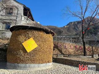 瓣瓣同心京津冀丨未来“种”进山窝窝