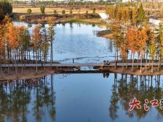 “湿”意南昌：湿地占全市总面积超1/4