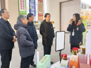 党建领航共富路 大名县乡镇集体经济发展公司激活乡村全面振兴新动能