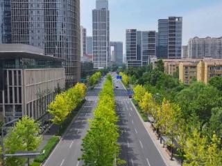 历下区今年将启动千佛山-护城河商业慢行体系项目，实施明府城片区环城绿道建设