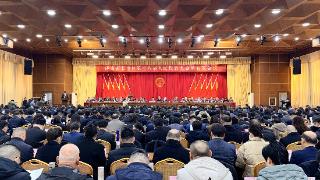 2025年长清区粮食总产量达5.5亿斤