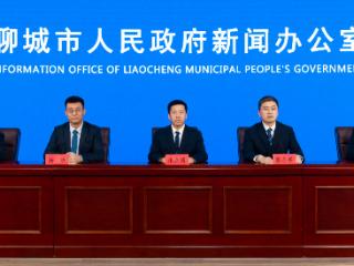 扎根养羊产业12年！聊城小伙返乡创业带动家乡增收