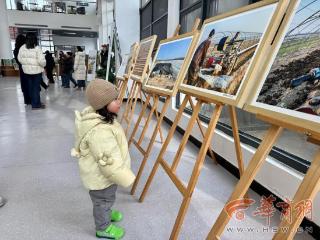 百幅《蒲城瓜农》亮相