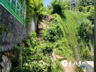 汇川区高桥社区：“暖心路”筑牢群众“脚下安全”