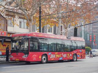 跟着“辫儿车”荡“马”路！