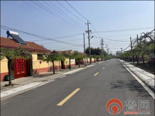 胶州：党建领航聚合力 全域提升绘新卷