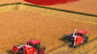 微视频｜让农民挑上“金扁担”