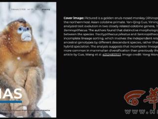 PNAS封面刊发！这场古老的“基因抽签”之谜被西北大学团队破译