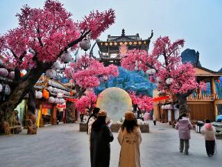 光影定格桃源新生 鲁网拍客团走进肥城梦幻桃花源