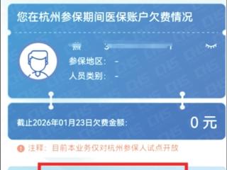 杭州医保新服务上线！个人账户清欠可“线上办” 异地参保人告别奔波