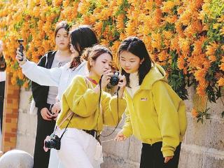 强冷空气来袭 厦门今夜降温或有阵雨