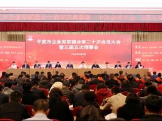 十年聚力向新 共启联盟新篇 平度市企业家联盟会十周年庆典成功举办