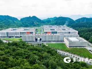 珠遵共建让年礼更有深意