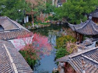 寻梅郭庄，一树江南春