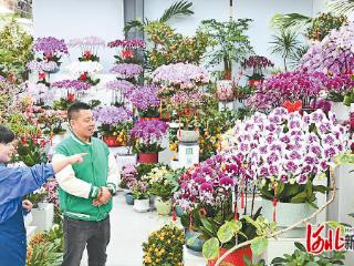 瓣瓣同心京津冀｜有颜有品，“年味消费”热气腾腾