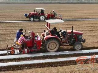 新春走基层——— 鄠邑大地春意浓