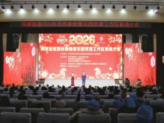 济南市莱芜区凤城街道百姓春晚暨花园党建工作区表扬大会圆满举办