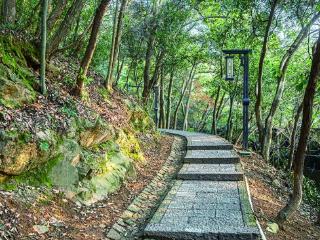 新年登高，去马家坞纳福云台