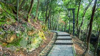 新年登高，去马家坞纳福云台