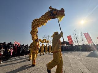 网起鱼跃庆丰年——鱼台县王庙镇旧城海子捕鱼季启动