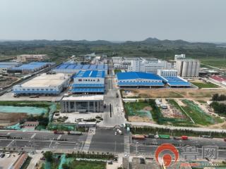 38年来，益海嘉里金龙鱼集团累计在华投资约1000亿元——每一次投资都是对中国市场的坚定看好