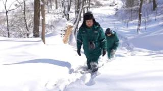 新春走基层｜七百七十二万八千步 踏雪守护万家灯火