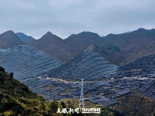 盘江股份电力板块2026年首月发电量超额完成6.75%