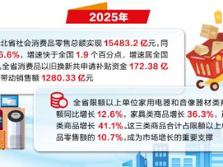奋进的河北·数读新变化｜政策加力，以旧换新激发市场潜能