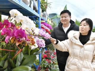 花市俏年味浓