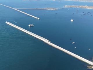 海港标书攻坚记