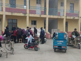 【“泉”在济南过大年】济南市莱芜区方下街道安台子村：新春送福暖桑榆 情系老人润民心