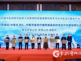 贵州凤冈：入选中医茶疗康养旅居星级目的地榜单