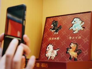 合肥春晚分会场年味提前上线 央视总台文创快闪店走进合肥“瑶海天地”