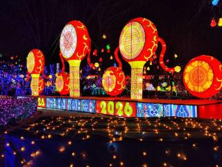 新春走基层｜万盏华灯迎新春，流光溢彩映大兴